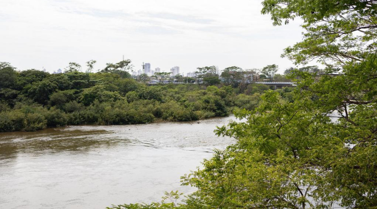 Defeso da Piracema em Mato Grosso será entre 1º de outubro e 31 de janeiro 1