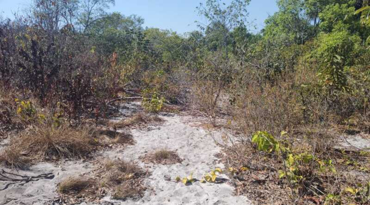 Homem é encontrado morto em cova rasa com marcas de tiros na região rural de Poxoréu 1