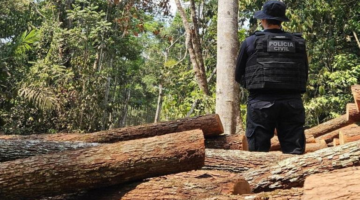 Operação em Comodoro apreende cargas de madeira ilegal e prende seis pessoas em flagrante 1