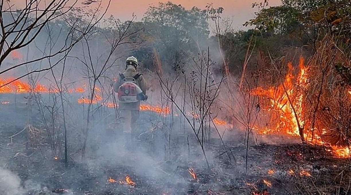 Situação de emergência por incêndio florestal cresceu 354% em agosto 1