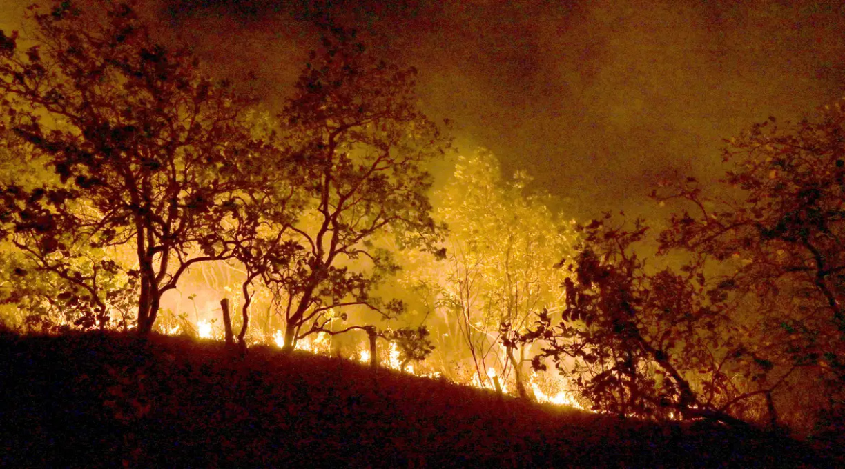 Queimadas persistem na Amazônia; cidades do PA superam mil focos 1