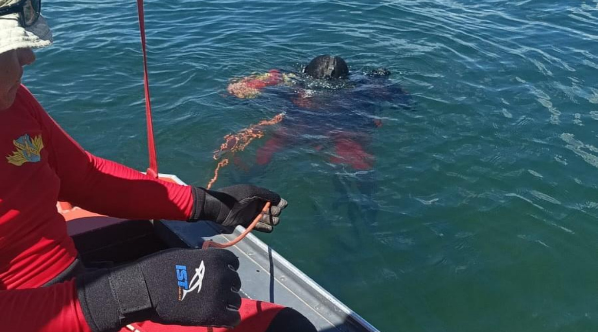 Bombeiros localizam corpo de jovem que se afogou em lago de fazenda 1