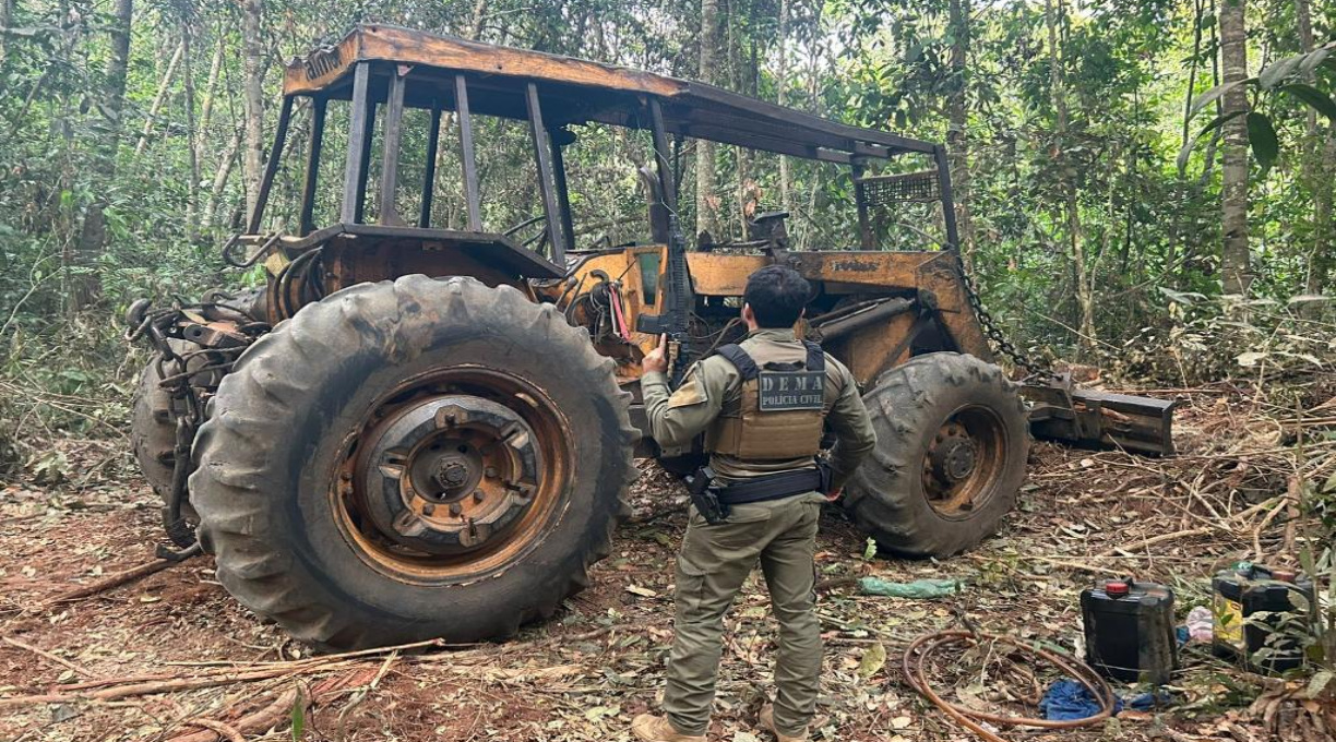 Operação Escudo Verde combate extração ilegal de madeira no norte de Mato Grosso 1