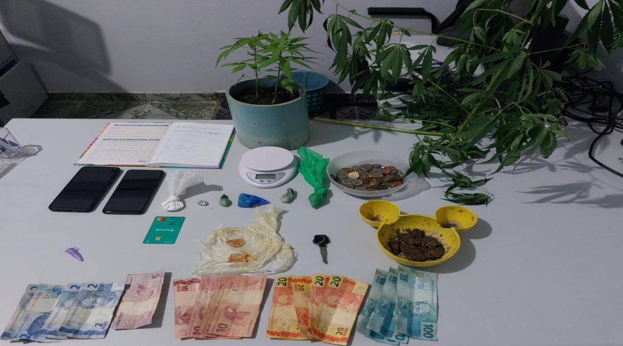 Casal é preso pela PM por tráfico de drogas e cultivo ilícito de maconha em Cotriguaçu 1