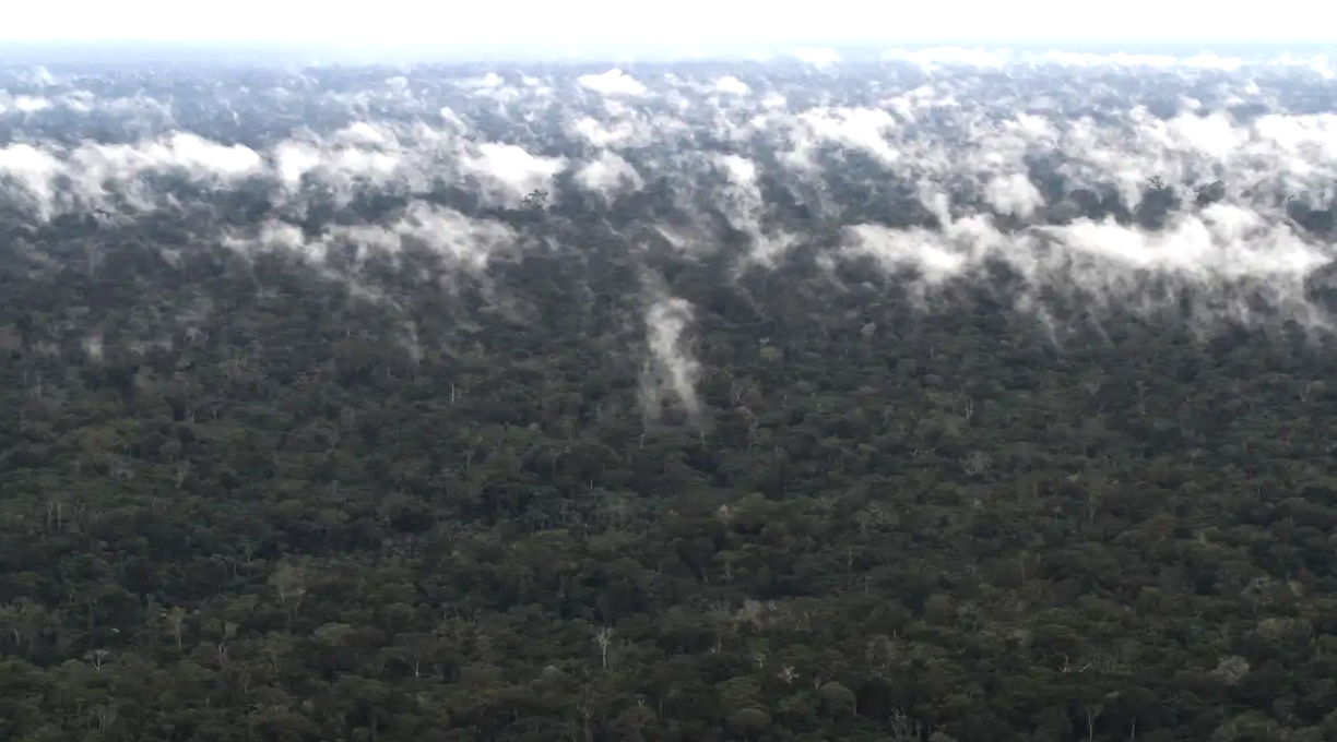 Emissão de gases do efeito estufa por queimadas na Amazônia cresce 60% 1