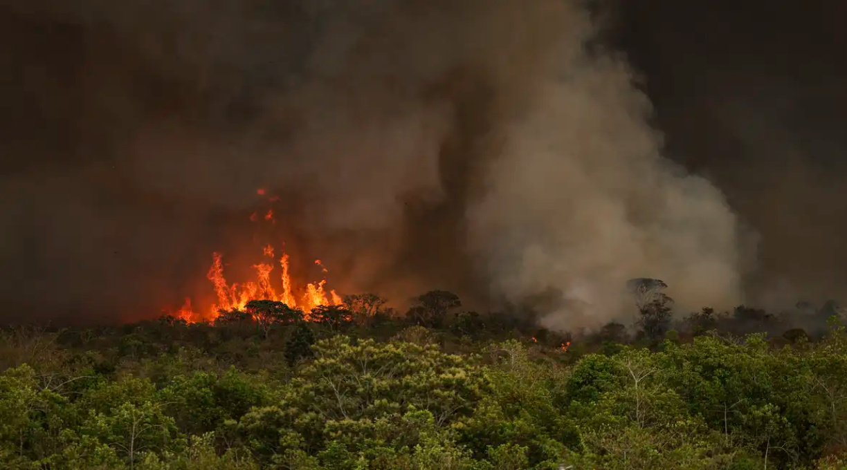 Brasil tem 22,38 milhões de hectares atingidos pelo fogo em nove meses 1