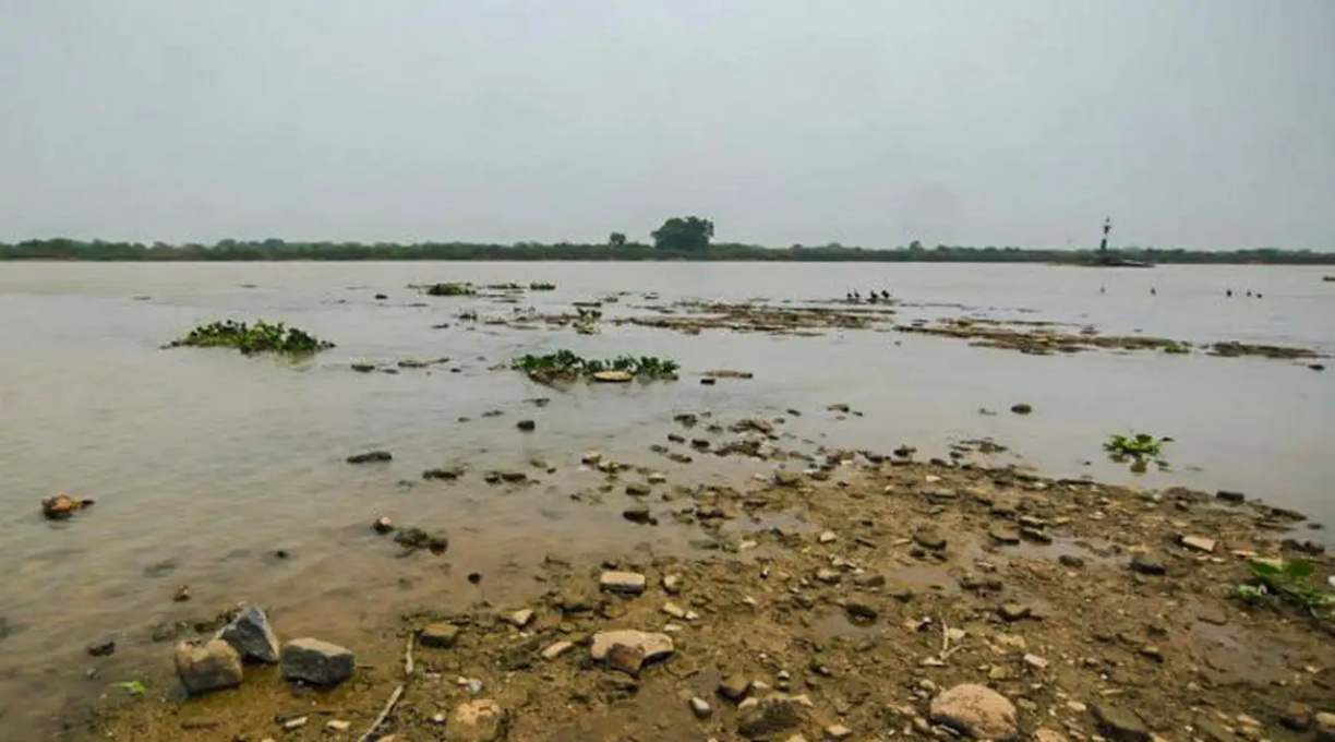 Rio Paraguai registra mínima histórica em ano mais seco no Pantanal 1