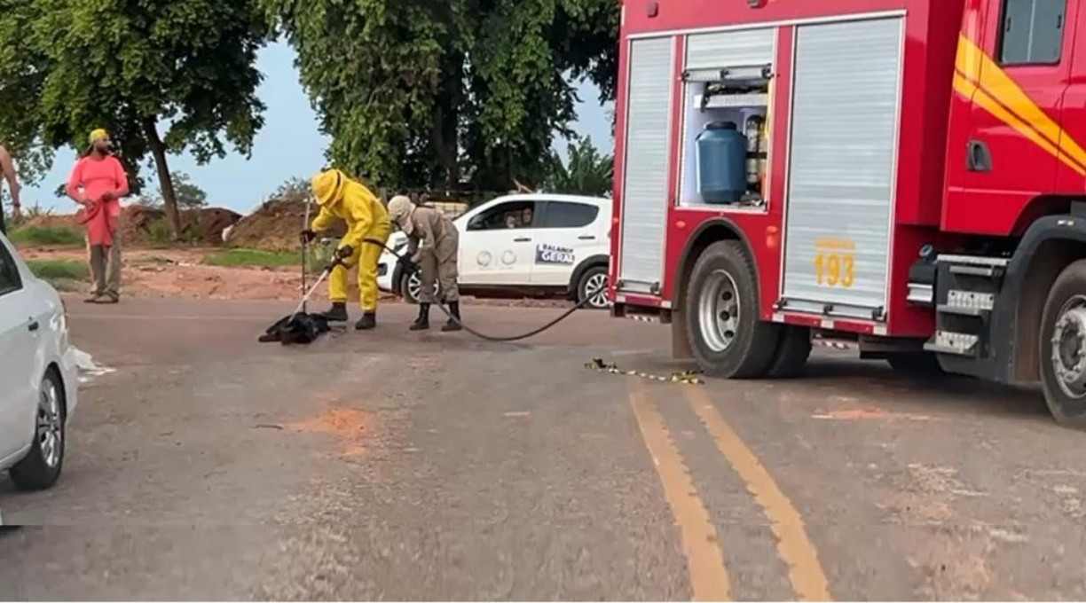 Bombeiros socorrem bebê, crianças e cão atacados por abelhas em Sorriso 1