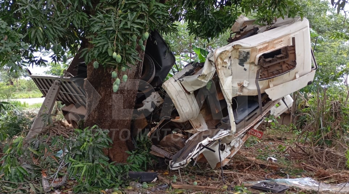 Caminhoneiro fica ferido após o caminhão que ele conduzia colidir com um pé de mangueira na MT-270 1