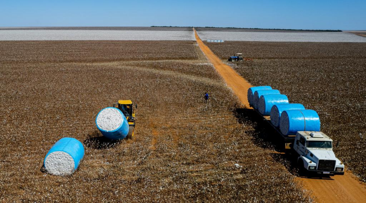 PIB de Mato Grosso registra a maior variação percentual do país e cresce mais de 1.230% em 20 anos 1