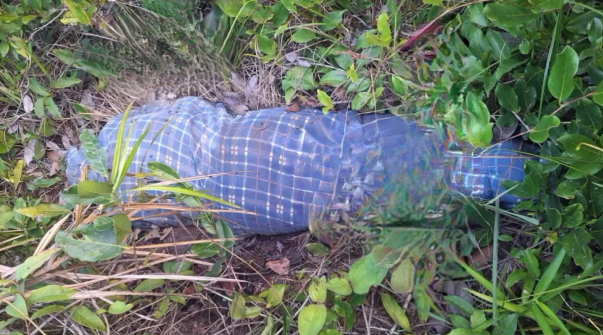 Cadáver feminino em avançado estado de decomposição é encontrado enrolado em um pano na região rural de Diamantino 1