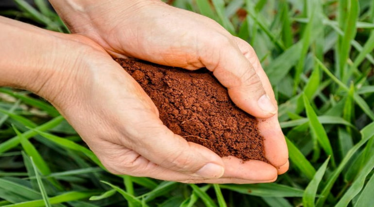 Brasil é líder mundial em uso de biofertilizantes e biodefensivos, indica Embrapa 1