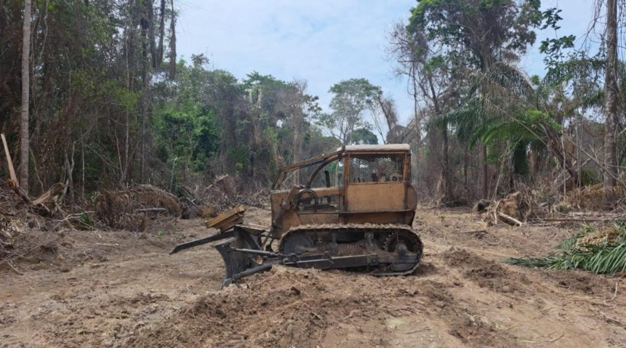 Sema apreende trator e madeira durante ação da Operação Amazônia em Alta Floresta 1