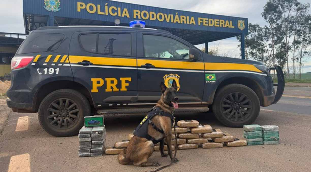 PRF encontra mais de 46 kg de drogas escondidas sob cama de caminhão na BR-364 1