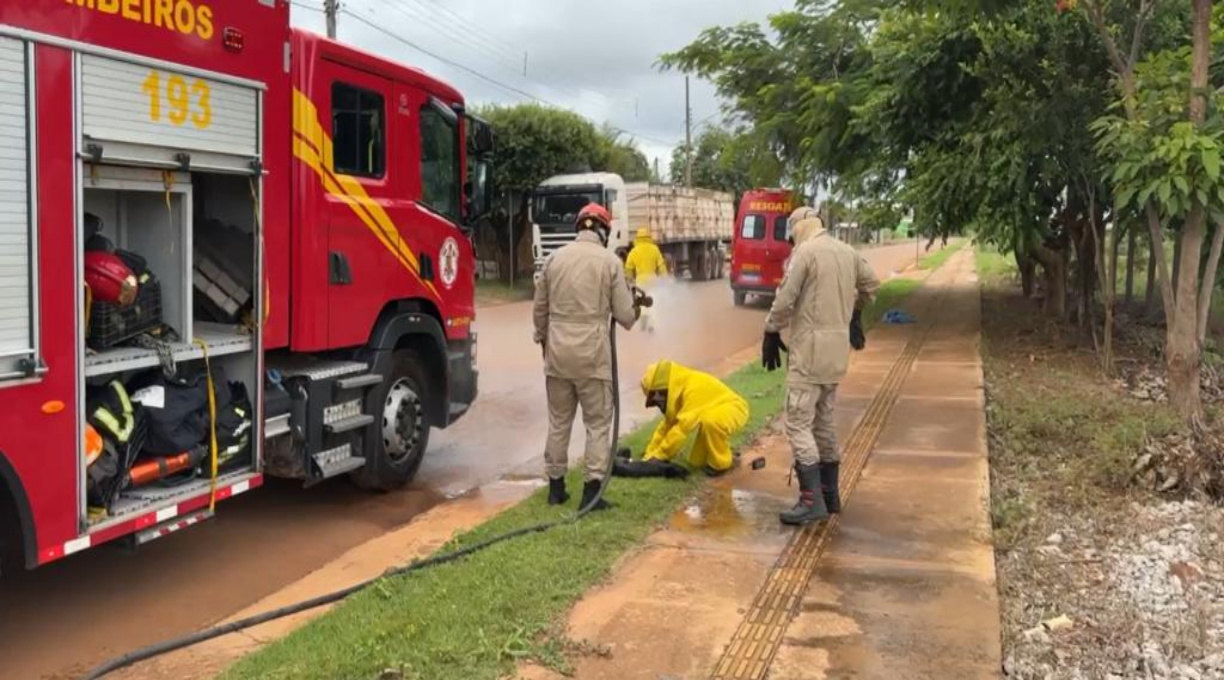 Corpo de Bombeiros socorre mulher e animais após ataque de abelhas 1