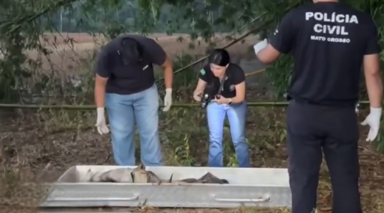 Corpo em estado de decomposição, sem a cabeça, é encontrado em região rural de Sinop 1